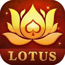 rummy win new apk download